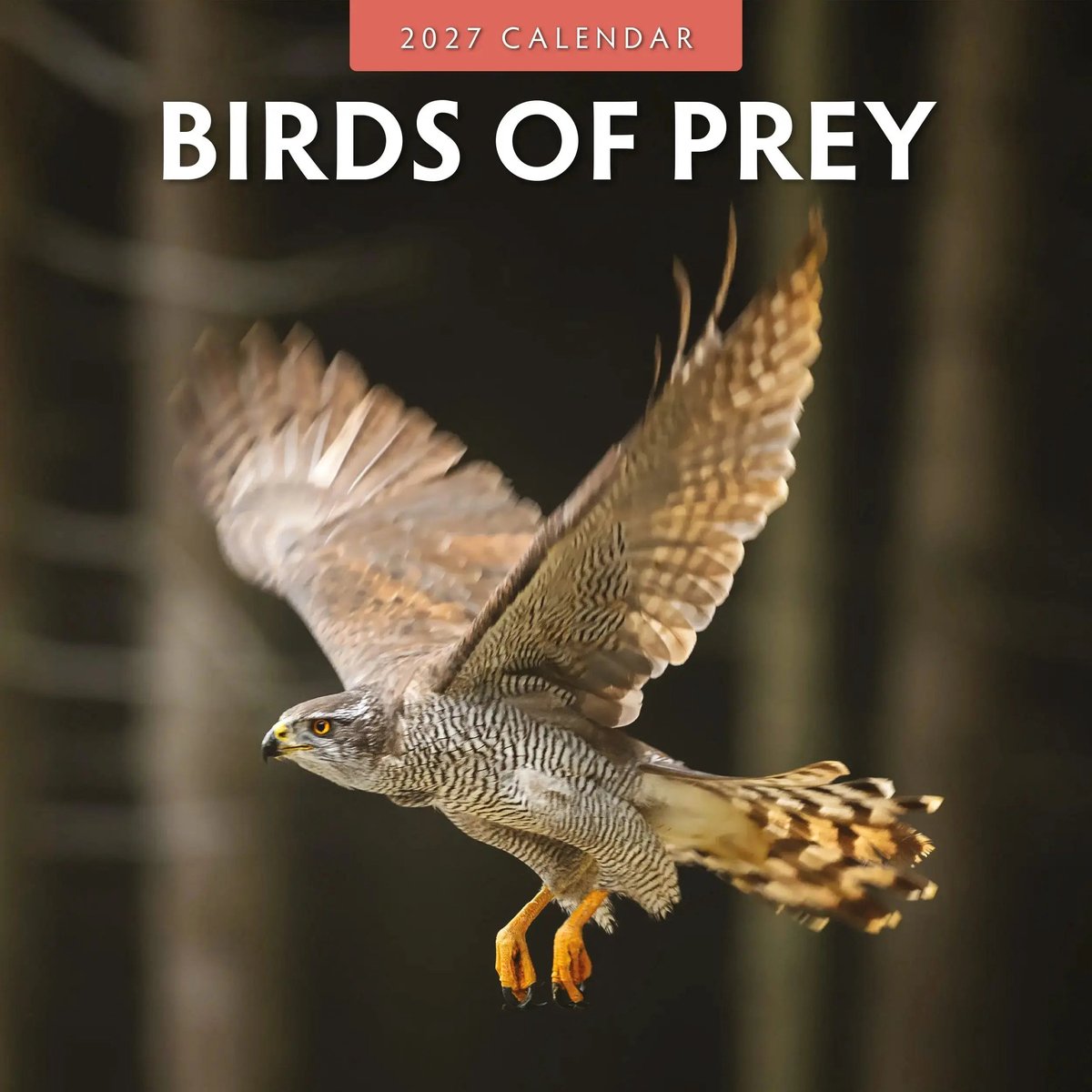 Birds Of Prey Kalender 2027