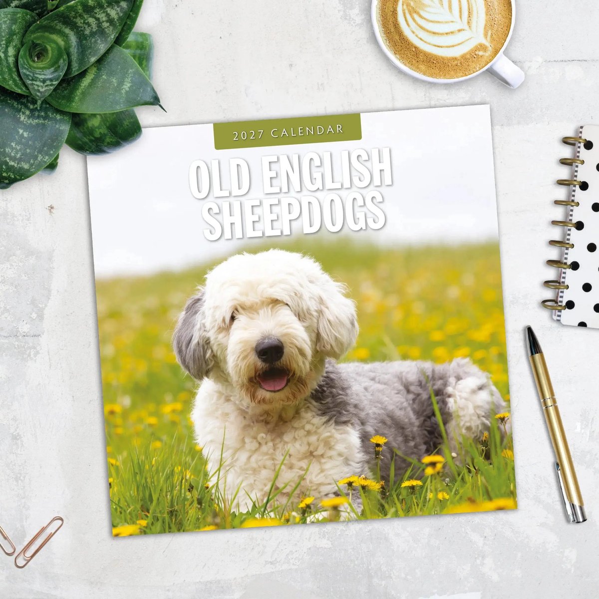 Bobtail / Old English Sheepdog Kalender 2027