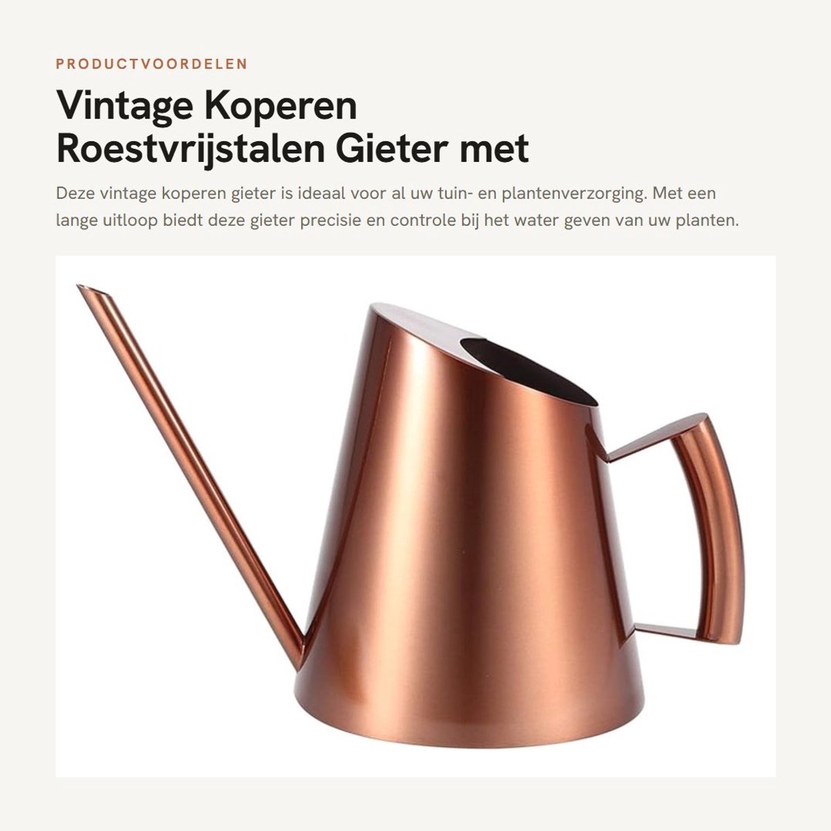 Solidchoice- Gieter Roestvrij Staal - Vintage Antieke Afwerking - 3 Maten - Tuinieren - Plantenverzorging - Lange Uitloop - Tuingieter