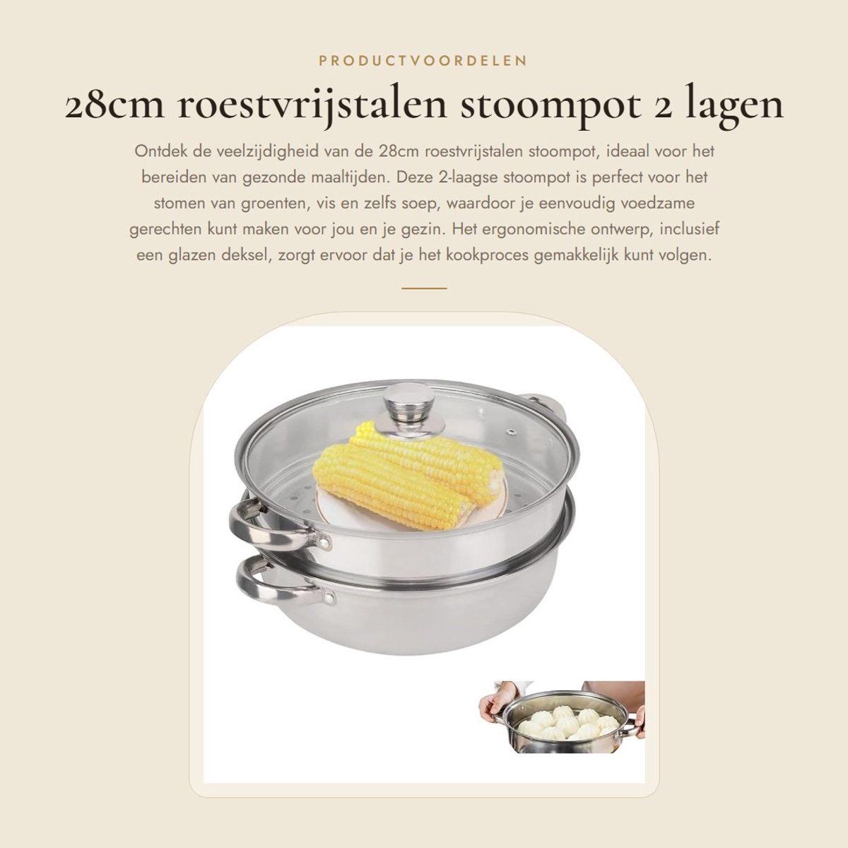 Dailygoods- Stoompot 28cm - Roestvrij Stalen Stoommandje - 2 Lagen - Glazen Deksel - Ergonomisch Ontwerp - Warmte-isolatie - Stoomkoker