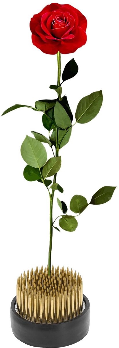 Dailygoods- Bloemenkikker - Koperen Kikker - 46 mm - Bloemenstandaard - Tafelopzetstukken - Knutselwerk - Hoogwaardige Materialen - Bloemschikking