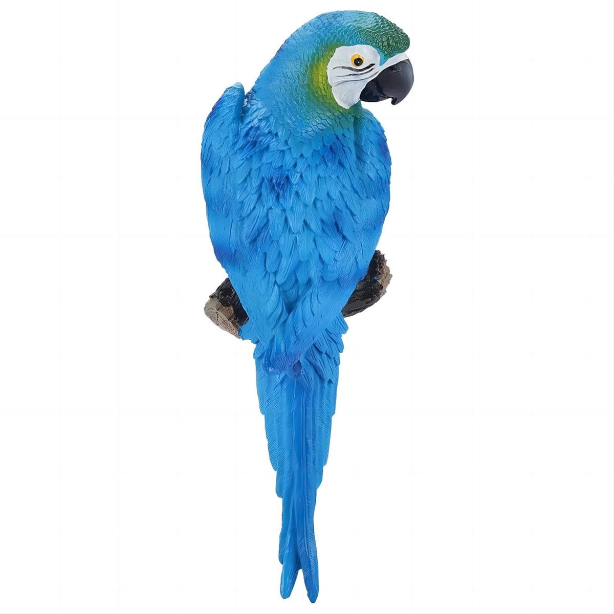 Dailygoods- Papegaai Ornament Levensecht - Tuindecoratie - Wanddecoratie - Hars Vogel - Duurzaam - Hoogwaardige Afwerking