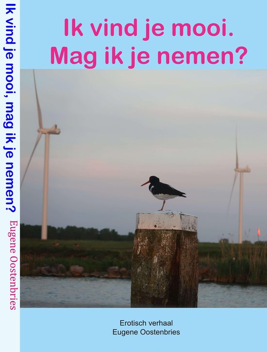 Ik vind je mooi, mag ik je nemen? - cover