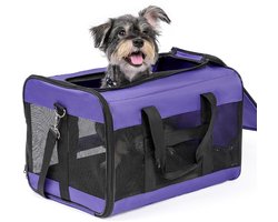 Dailygoods - Conlun Zachte hondentransporttas, grote kattentas met binnenriem, transport voor grote katten en middelgrote honden tot 9 kg, opvouwbare tas voor puppy's, paars, L