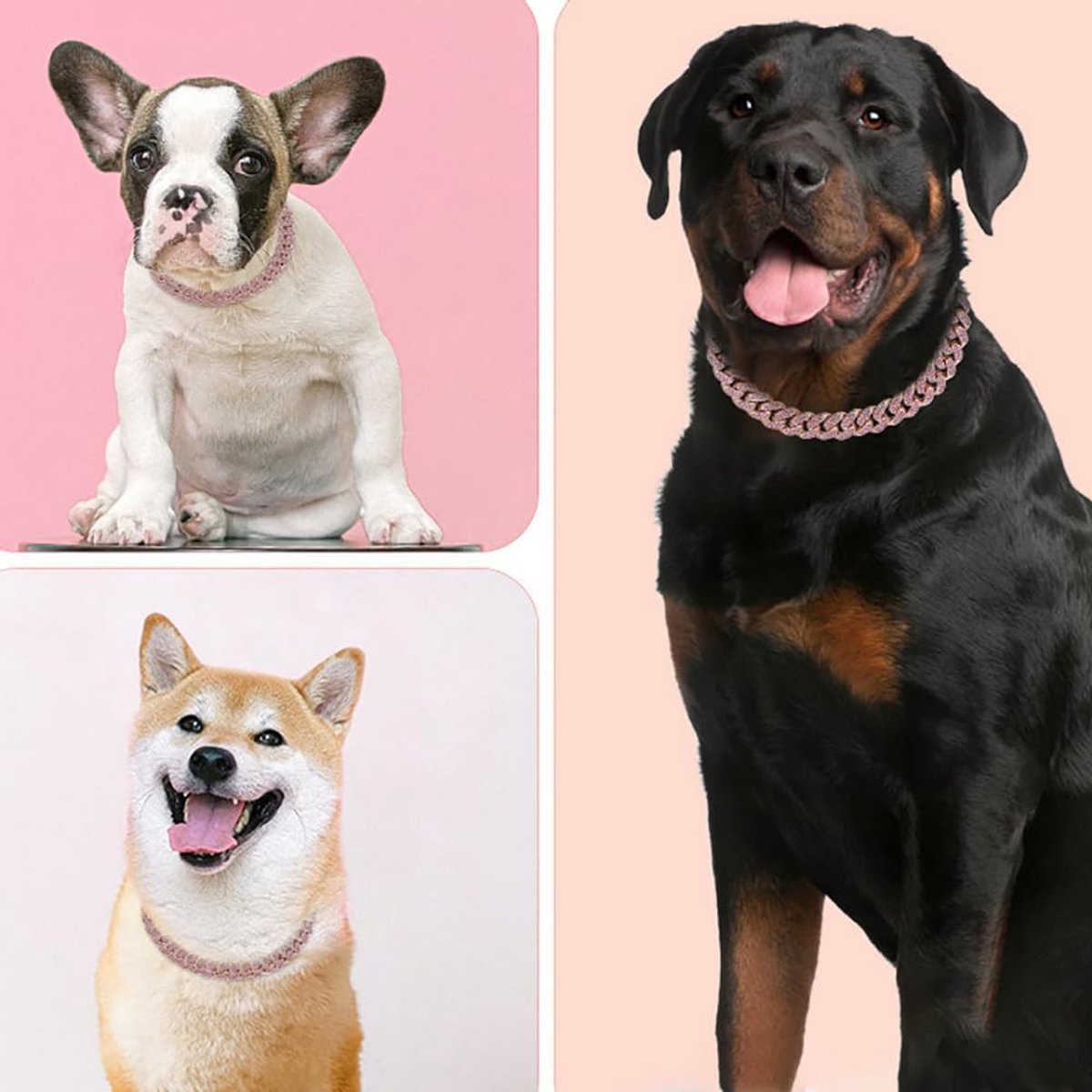 SnelShoppen - Gouden Ketenhalsband voor Honden, Glitter Rhinestone Bling Sparkling Diamant Metaal Cuban Link Halsband voor Kleine, Middelgrote en Grot