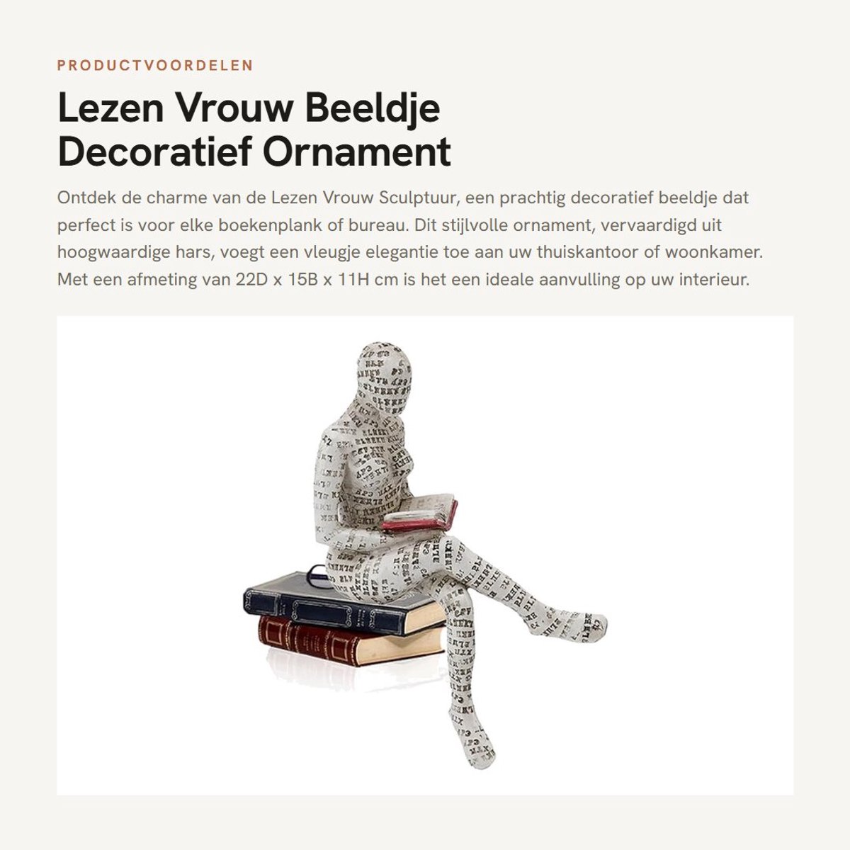 Dailygoods- Beeldje Lezen Vrouw - Decoratie Thuiskantoor - Ornamenten Boekenplank - Hars Beeldje - Innovatieve Dame - Uniek Design