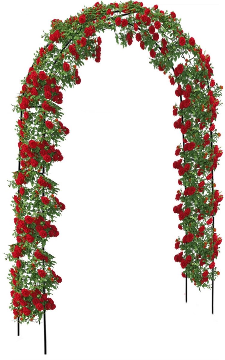 Omgoods - Rozenboog - Tuinboog voor Klimplanten - Metaal 240 x 140 x 38 cm - Zwart