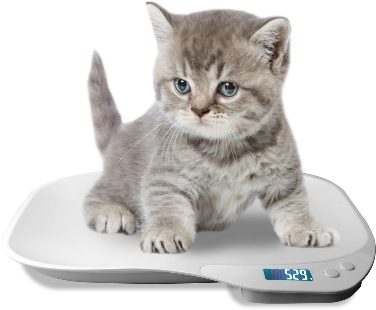 Omgoods - Digitale Honden- en Kattenweegschaal - 15 kg Precisie