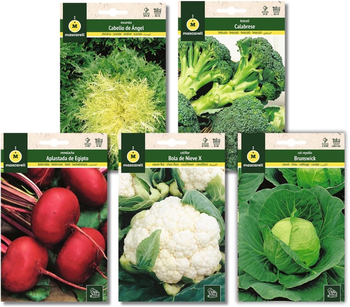 Omgoods - Seeds, Pakket Zaden Tuin Herfst-Winter met Broccoli en Witkool