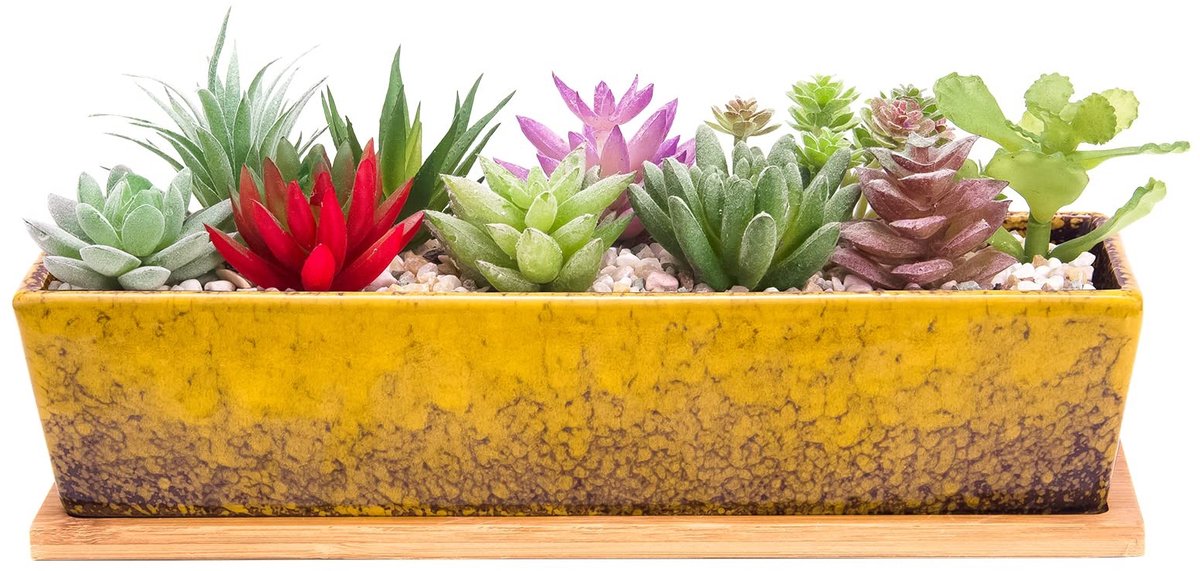 Omgoods - 30cm Lange Rechthoekige Succulent Pot met Afvoerschotel voor Binnen en Buiten