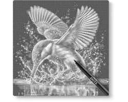 Martin-pêcheur | Dot painting | 40x40cm | Dot painting | Oh My Dotz | Points | Diamond painting & Peinture par numéros alternative | Happy hobby