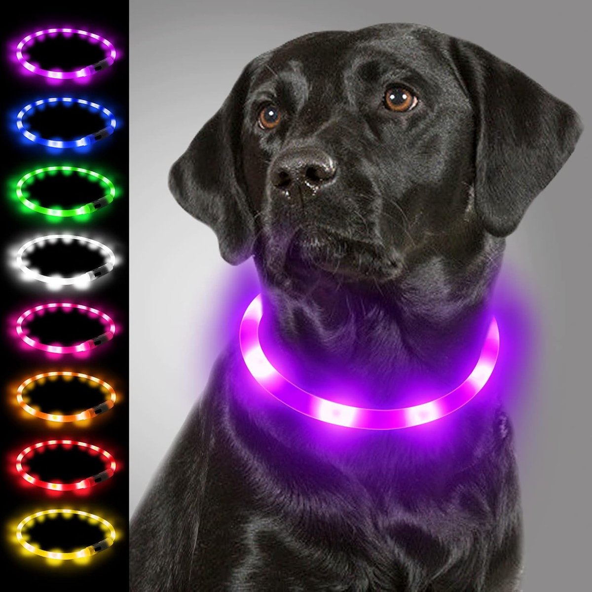 LED Halsband, Hondenhalsband met Licht, Oplichtende Hondenhalsband USB Oplaadbare, Lichtgevende Halsband voor Kleine, Medium en Grote Honden, Paars