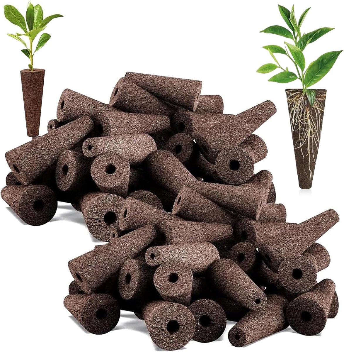 100 Hydroponic - Groeizwammen - Hydrocultuursysteem Kit - Geschikt