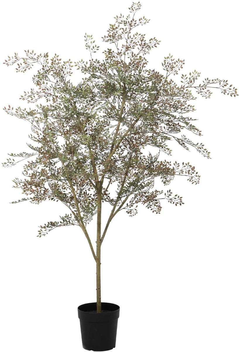 Trendyplants - Kunst Bucida - Zwarte Olijfboom - Kunstplant - Hoogte 165cm - Potmaat Ø23cm