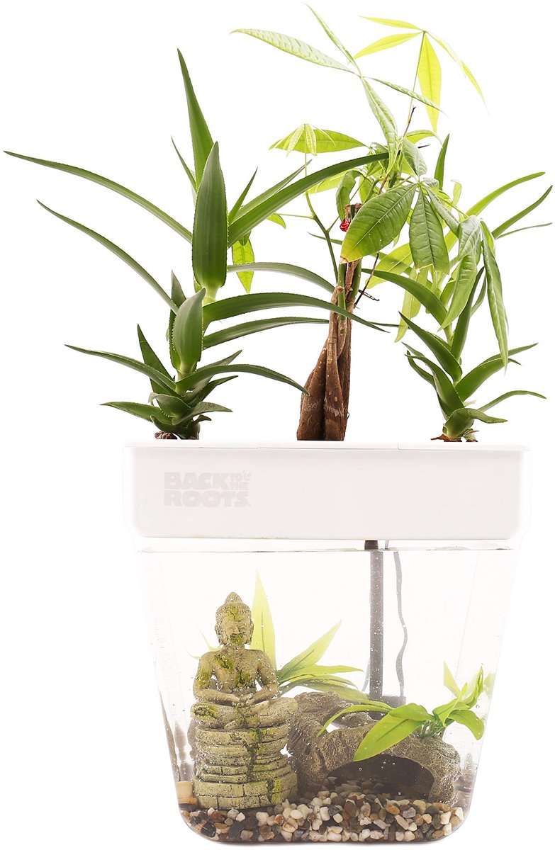 SnelShoppen - Hydroponisch Watertuin Ecosysteem voor Kruiden, Microgreens, Bamboe, Vetplanten en Kamerplanten, 3 Gallon, Groen, Zelfbewaterend, Educat