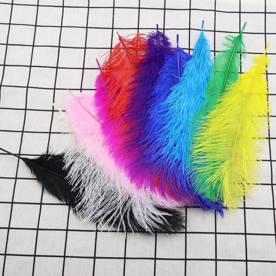 10 stuks veelkleurige struisvogelveren voor doe-het-zelf ambachten — afbeelding 5