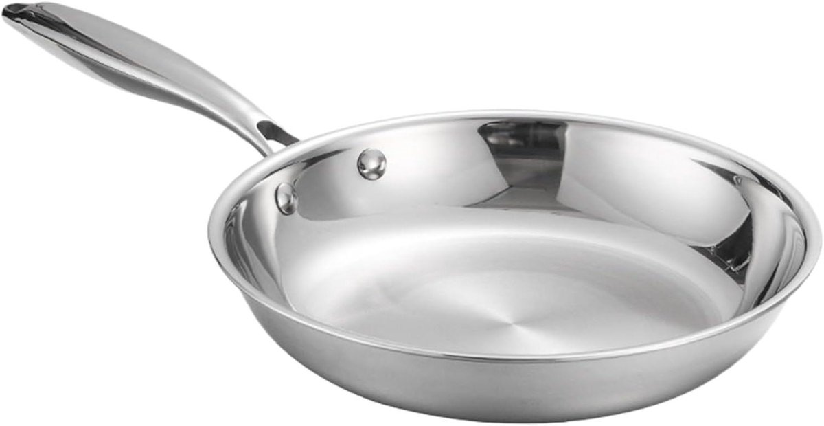 Roestvrijstalen Koekenpan - Omeletpan Steakpan - Dagelijks Koken - Geoptimaliseerde Warmteverspreiding - 22 cm - Zilverkleurig