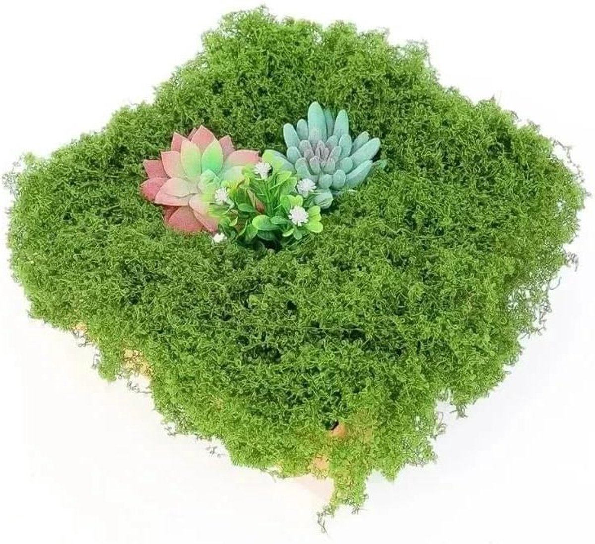 Kunstmos Decoratie - Nep Gras - DIY Ambachten - Realistisch Mosuiterlijk - 100g - Groen