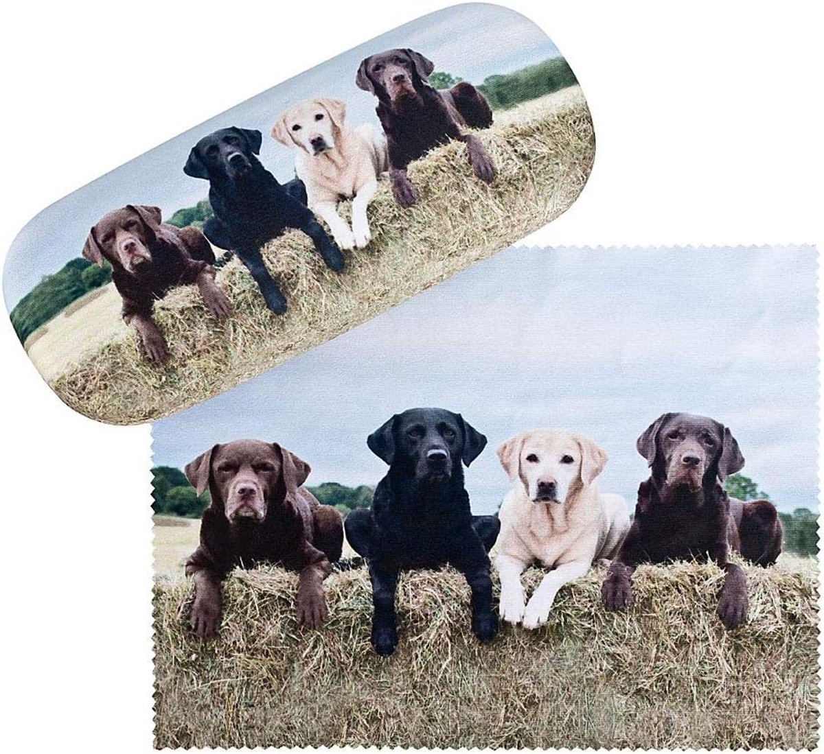 LILIENFELD Brillenetui Labrador Retriever Brillenkoker Stabiele Reinigingsdoek Glasses Case