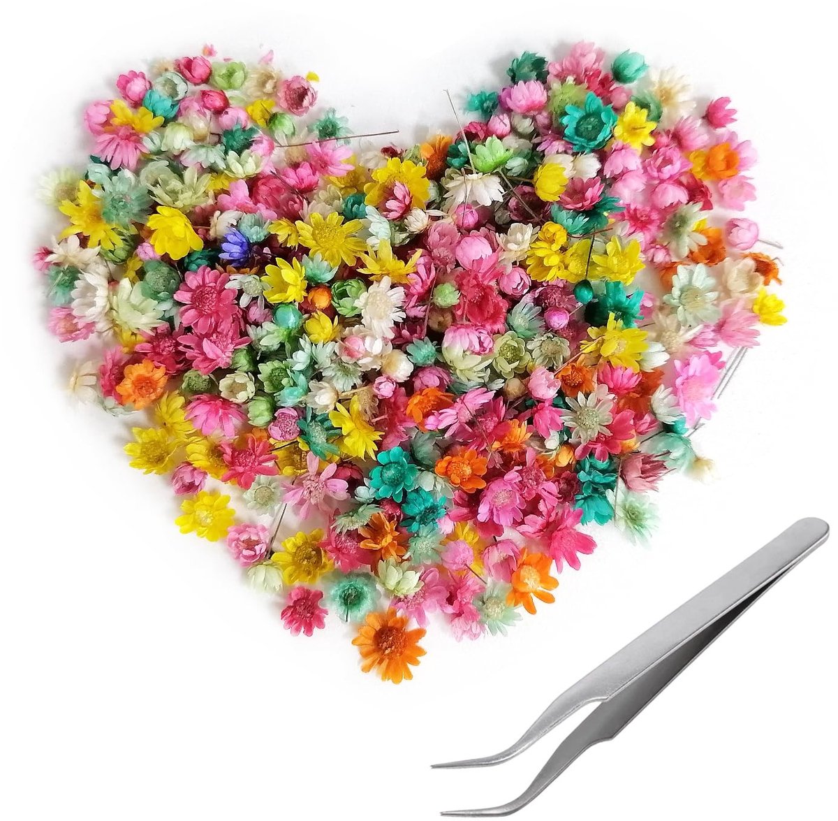 Dailygoods - C-114 281 stuks droogbloemen, gedroogde bloemen, droogbloemen om te knutselen, droogbloemen, decoratie voor geurkaarsen, zeepmaken, doe-het-zelf nagelkunst, telefoonhoes, sieraden, oorbellen