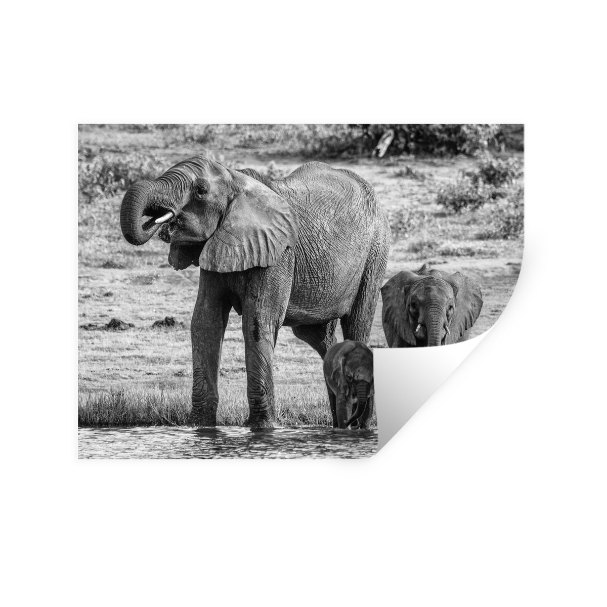 Muurstickers - Sticker Folie - Olifant - Water - Dieren - Zwart - Wit - 120x90 cm - Plakfo
