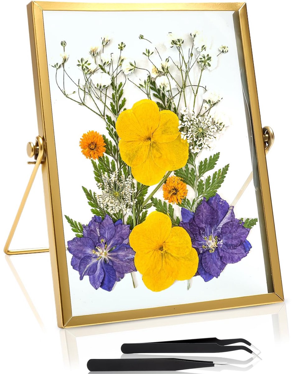 Fotolijst, 15 x 20 cm, glazen lijst voor geperste bloemen, fotolijst, dubbelzijdig zichtbaar, goud, dubbel glas, fotolijst, staand