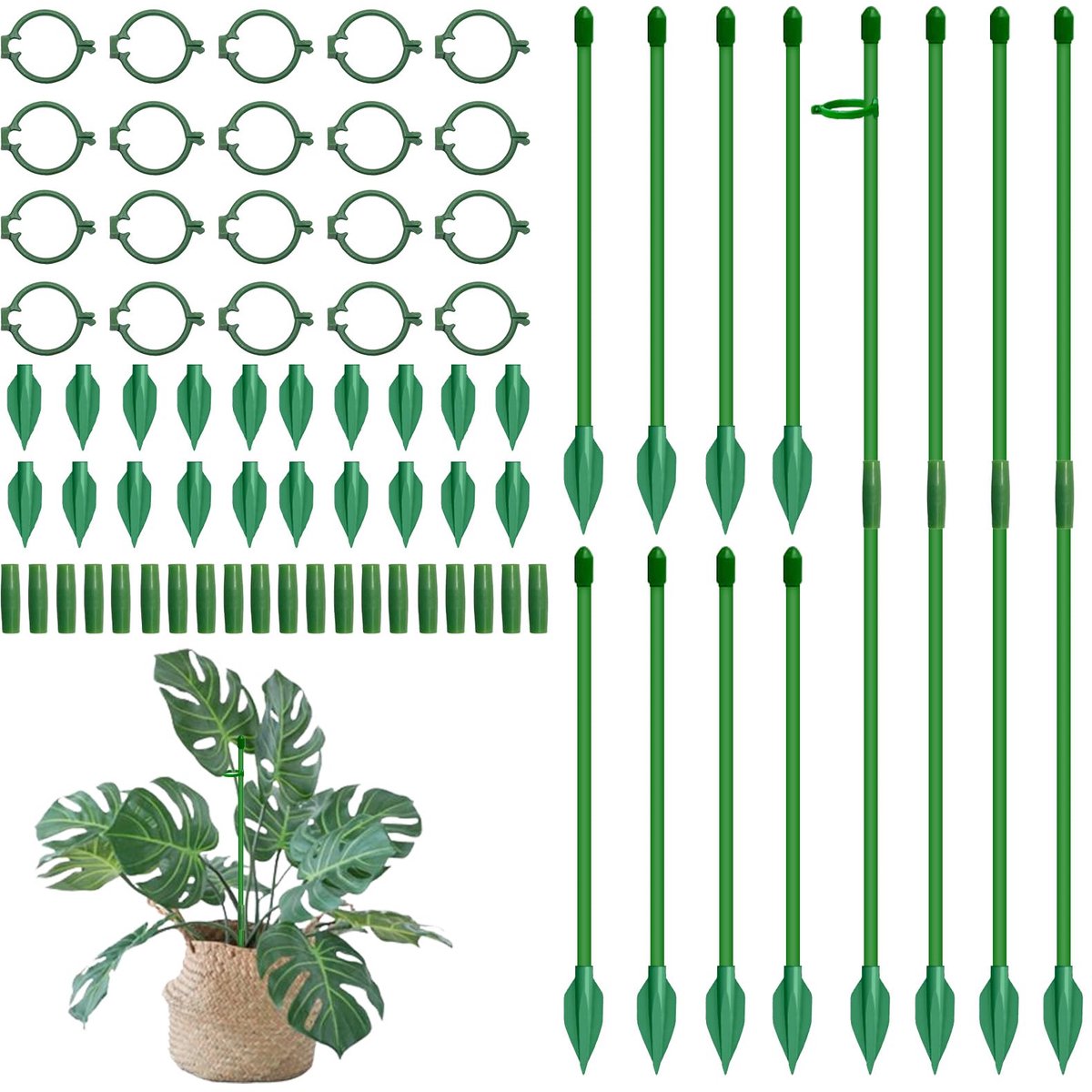 Plantensteun & klimhulp, 20 stuks plantenhouders, 30 cm, plantenhouder, kamer met clips, herbruikbaar, klimhulp kamerplanten, ideaal voor binnen, balkons en kleine groenteplanten