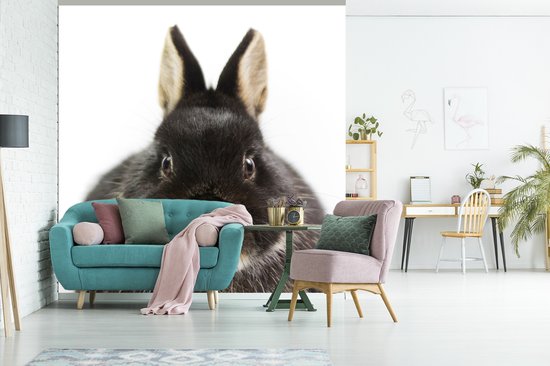 Behang - Fotobehang Konijn - Huisdieren - Vacht - Breedte 300 cm x hoogte 300 cm