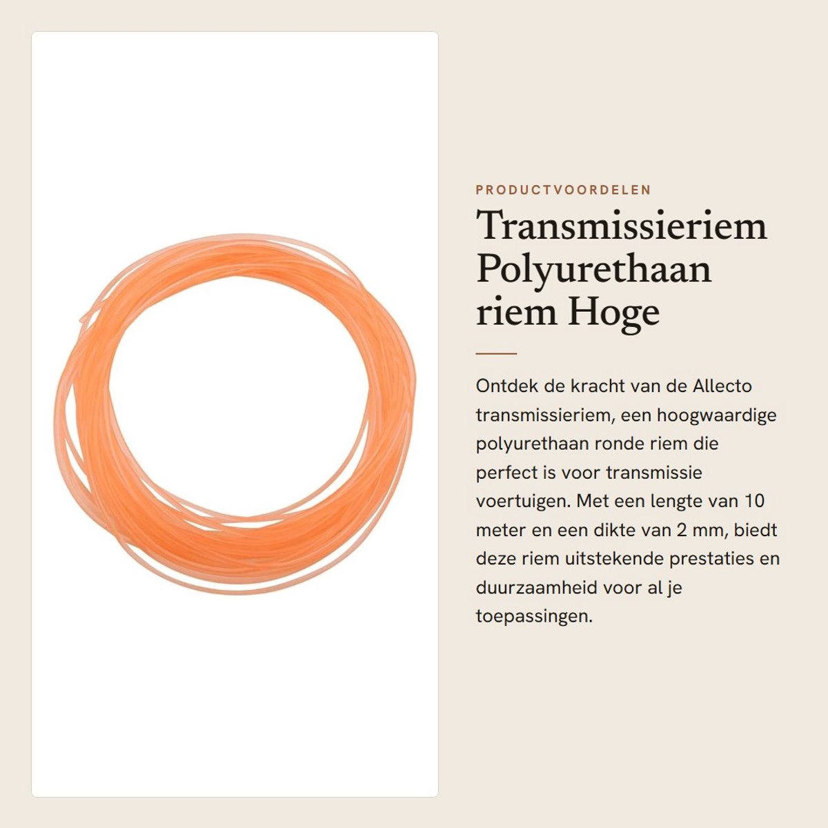 Dailygoods- Transmissieriem PU 2mm - Ronde Riem - Polyurethaan - High Performance - 10m - Geschikt voor Meerdere Transmissies