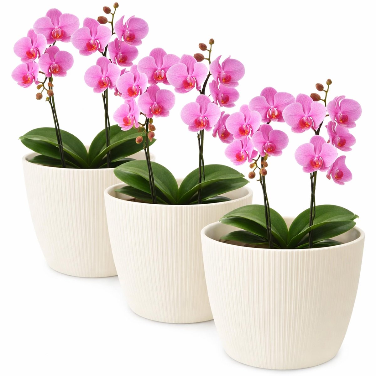 Plantenpot, overpot, kunststof, decoratief, groot, set van 3 stuks, kruidenpot, crème, doorsnede 11 cm