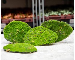 Mosplaat – Groen mos – Set van 4 – Kunstmos