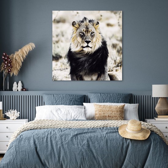 Affiche Animaux sauvages - Lion - Zwart - 100x100 cm XXL