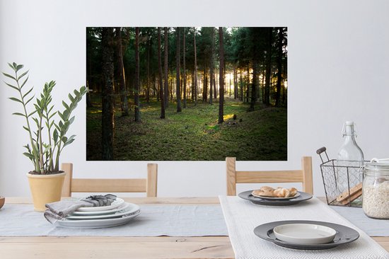 Sticker Muursticker Forêt - Soleil qui brille à travers les arbres de la forêt - 90x60 cm - feuille autocollante - sticker mural repositionnable