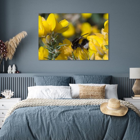 Abeille sur une fleur de balai 120x80 cm