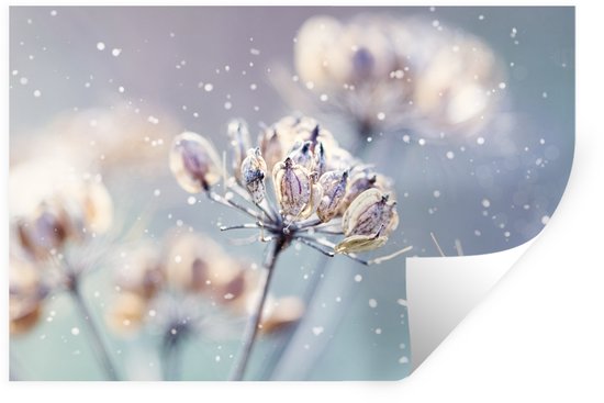 Stickers muraux - Feuille Autocollant - Fleurs - Neige - Glace - Hiver - Botanique - 60x40 cm - Feuille Adhésive - Stickers muraux Chambre Enfant - Papier Peint Auto Adhésif