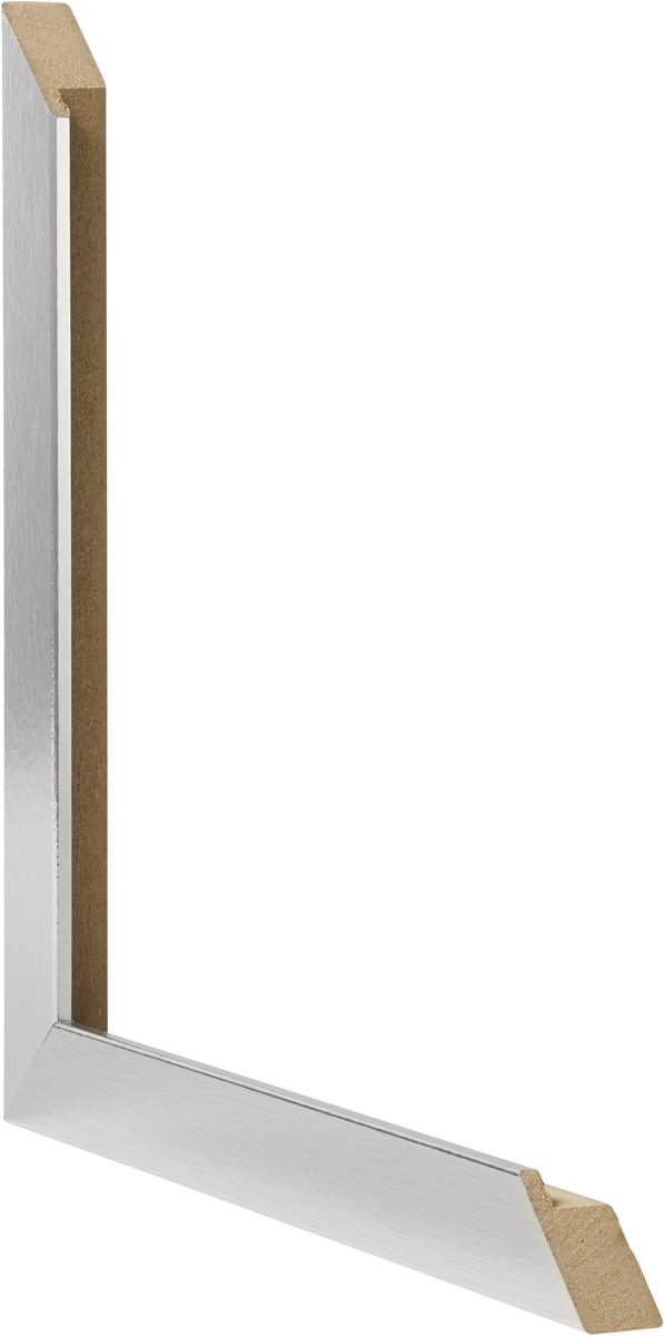 Fotolijst 20x60 cm - MDF - Edelstaal - Benno