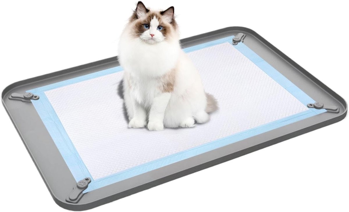 Hondenpotje voor binnen - Puppy plasmat - Zindelijkheidstraining thuis - Morsbestendig hoge rand - 62 x 42 cm - Grijs