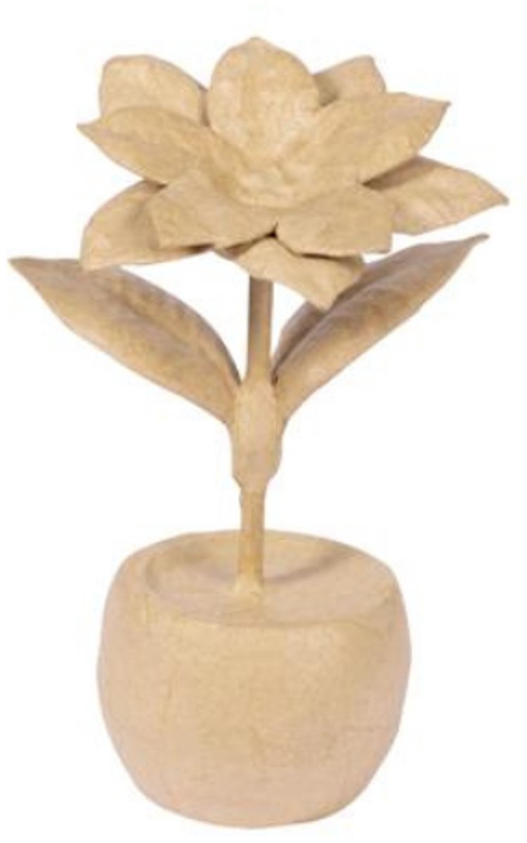 Poinsettia - kerstster in pot
