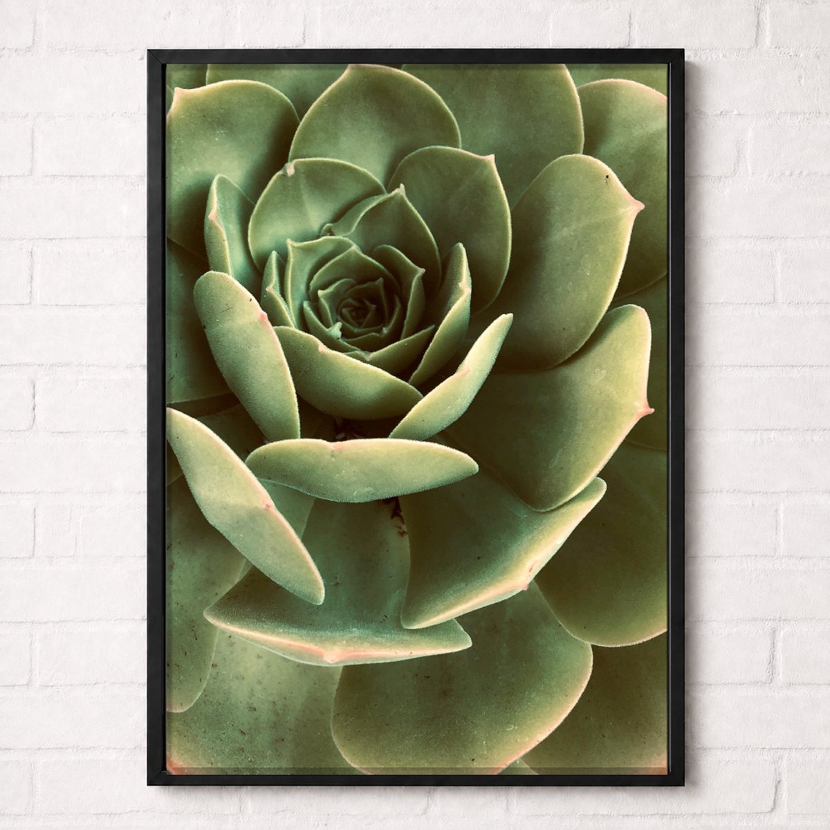 Groene Vetplant Poster - Botanical Nature Collection - Natuur Posters - A2+ 43,2 x 61 cm