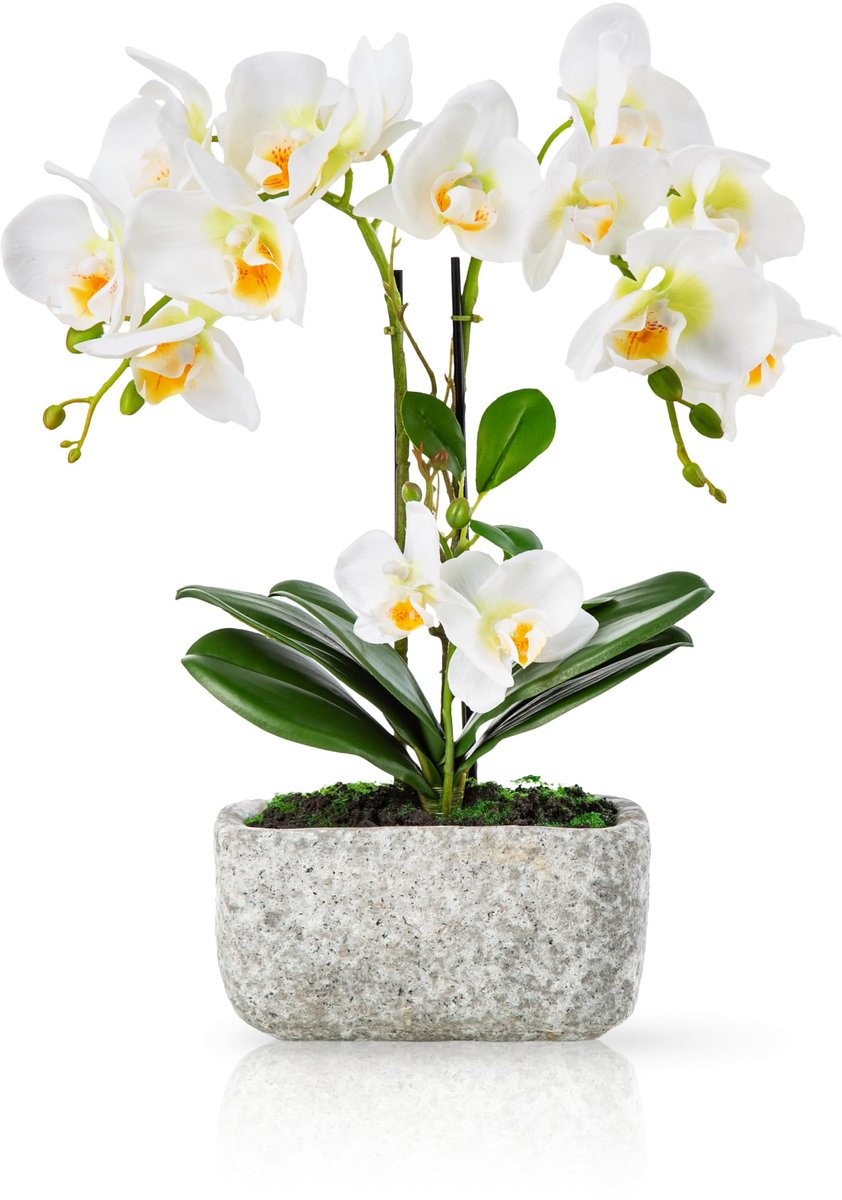 Kunstorchideeën 40 cm - Urban Stone pot - Real Touch - Realistisch en onderhoudsvriendelijk - ShopVlot