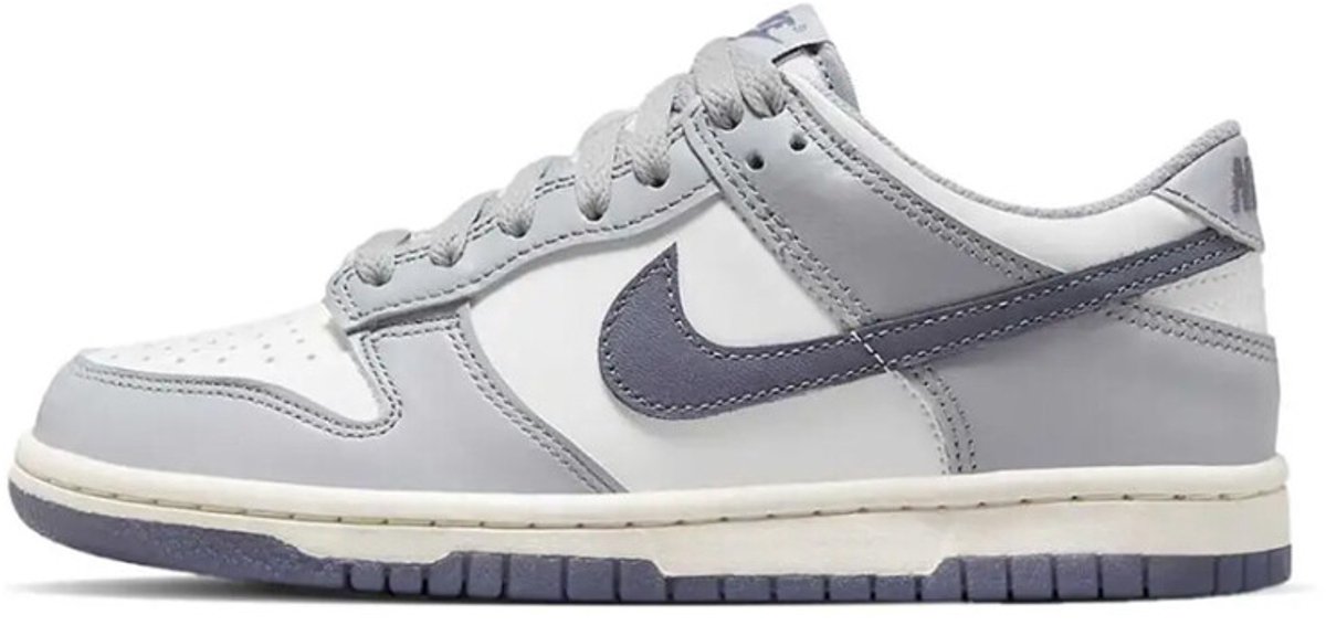 Nike Dunk Low ‘Platinum Tint Light Carbon’ Grijs