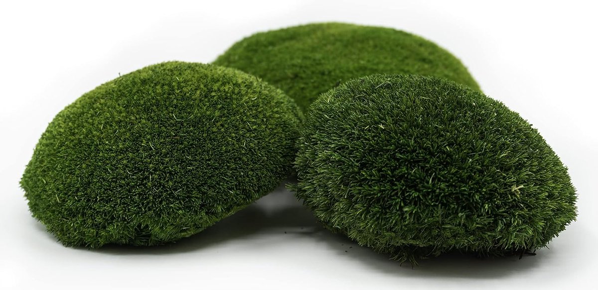Moss voor decoratie - 30x30 cm - Natuurlijke groene kleur - Onderdeel voor creatieve projecten - m-winkel