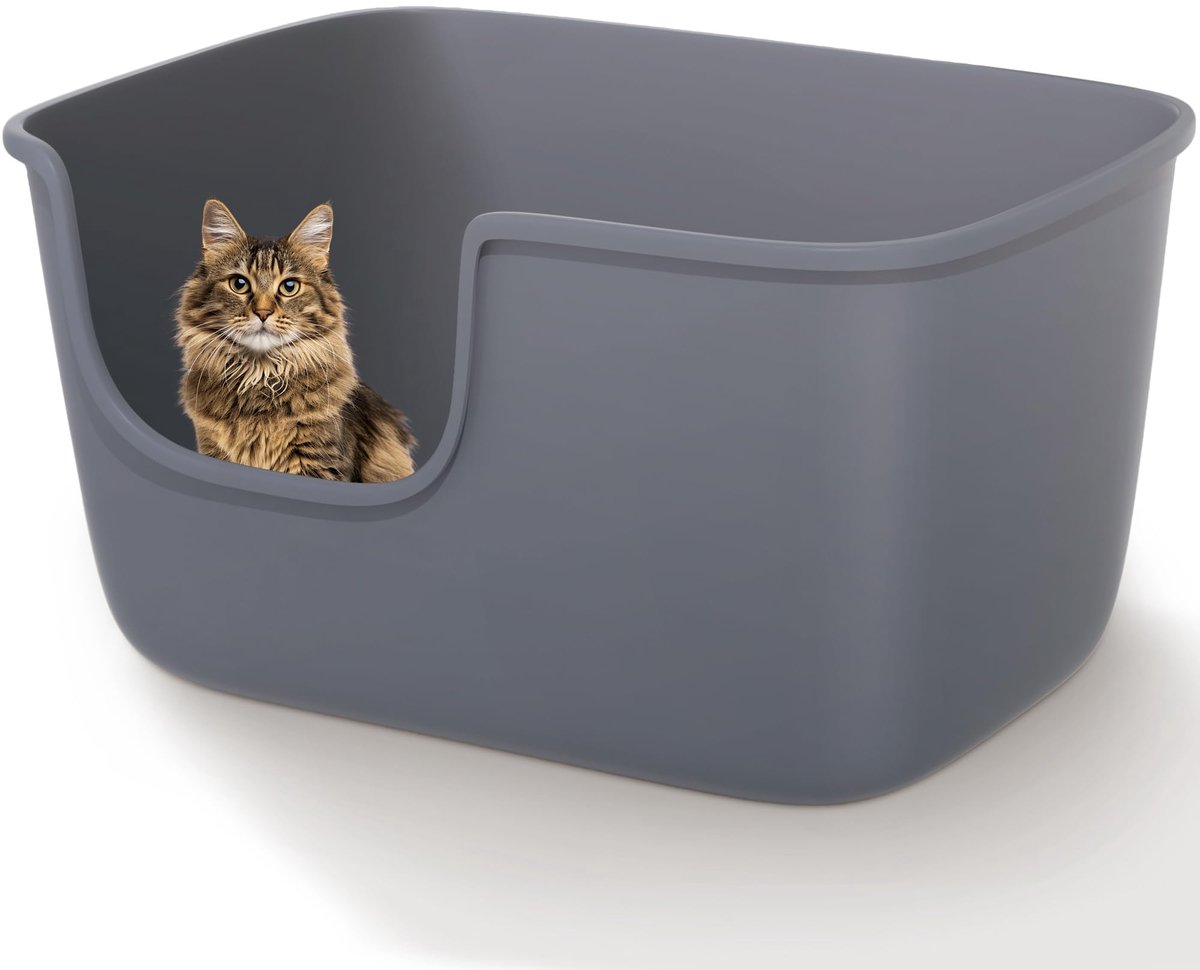 Famanu – Grote kattenbak voor binnenkatten, hoogzijdige en lage instap kattenbak van 50 x 30 x 30 cm, met hoge rug en diepe wand Famanu – Grote kattenbak voor binnenkatten, hoogzijdige en lage instap kattenbak van 50 x 30 x 30 cm, met hoge rug en diepe wand