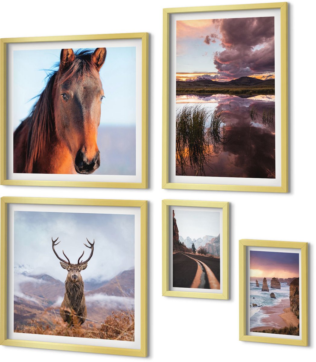 Coloray 5-Delige Schilderij Set - De Natuurlijke Schoonheid Van Landschappen En Dieren In De Buitenlucht - 50 x 50 cm, 20 x 30 cm En 40 x 60 cm - Moderne Wanddecoratie - Slaapkamer - Woonkamer Decoratie