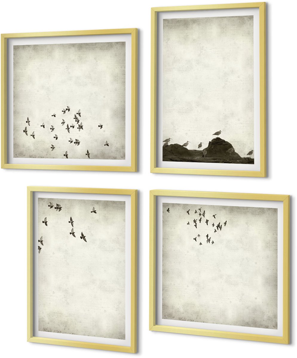 Coloray 4-Delige Schilderij Set - Minimalistisch schilderij van vliegende vogels - 40 x 40 cm en 40 x 60 cm - Moderne Wanddecoratie - Slaapkamer