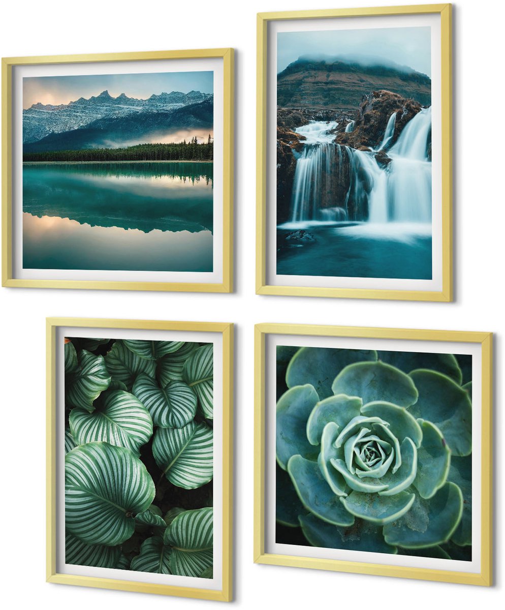 Coloray 4-Delige Schilderij Set - Close-ups van planten, bladeren en vetplanten - 40 x 40 cm en 40 x 60 cm - Wanddecoratie - Moderne Interieurdecoratie - Moderne Wanddecoratie