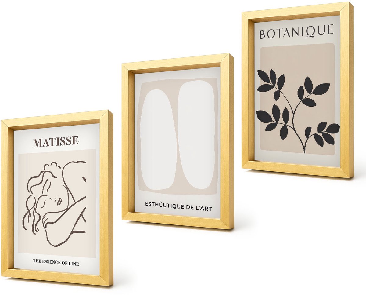 Coloray 4-Delige Schilderij Set - Stijlvolle minimalistische schilderijen met plantmotieven van Matisse - 20 x 30 cm - Stijlvolle Wanddecoratie - Interieur