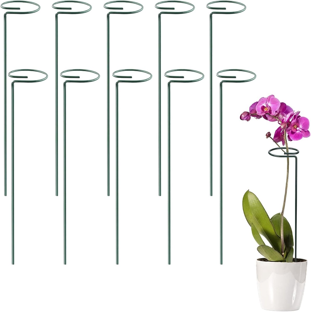 Garden Single Stem Support Game - ShopVlot