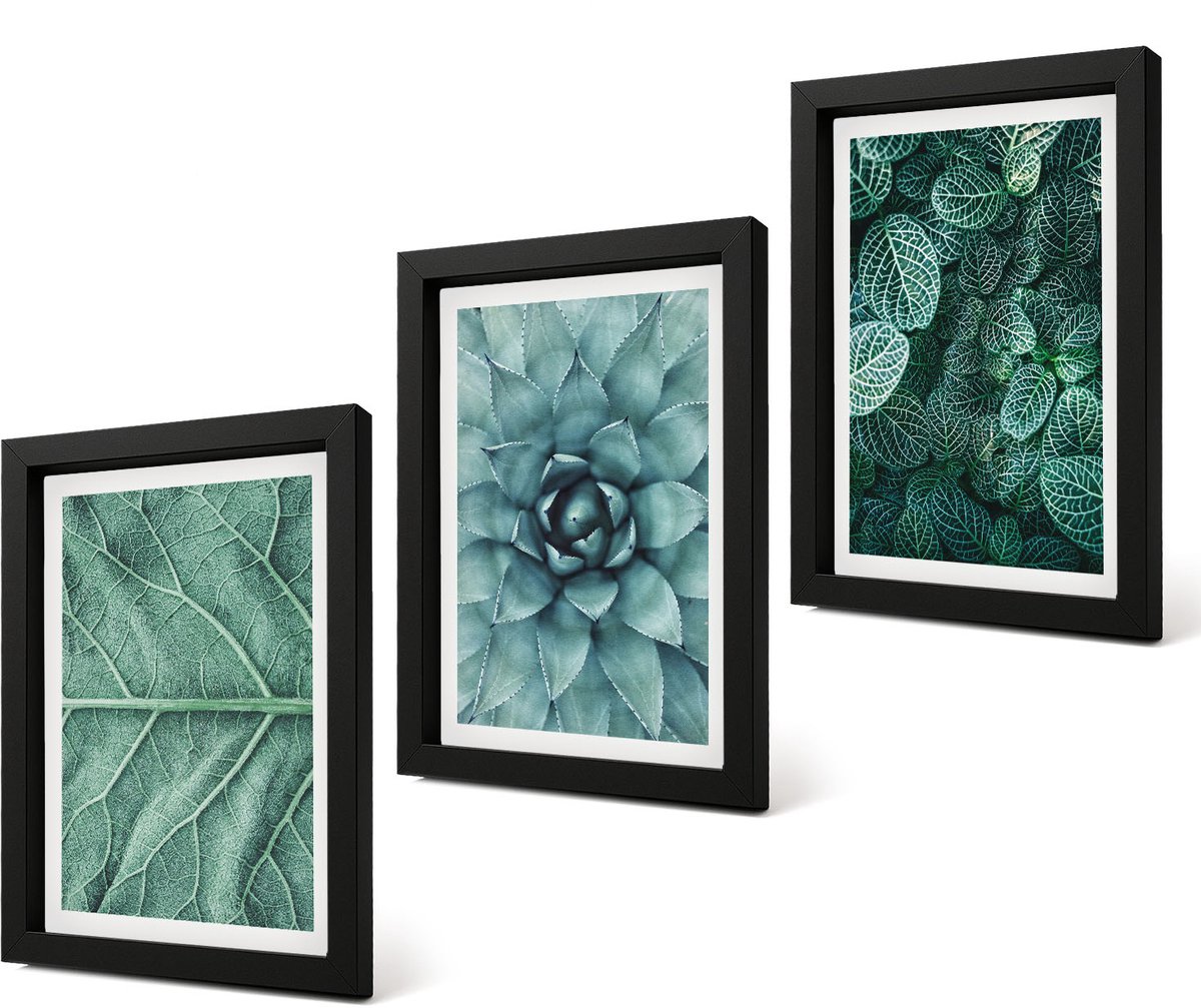 Coloray 4-Delige Schilderij Set - Close-ups van planten, bladeren en vetplanten - 20 x 30 cm - Wanddecoratie - Muurdecoratie - Moderne Interieurdecoratie