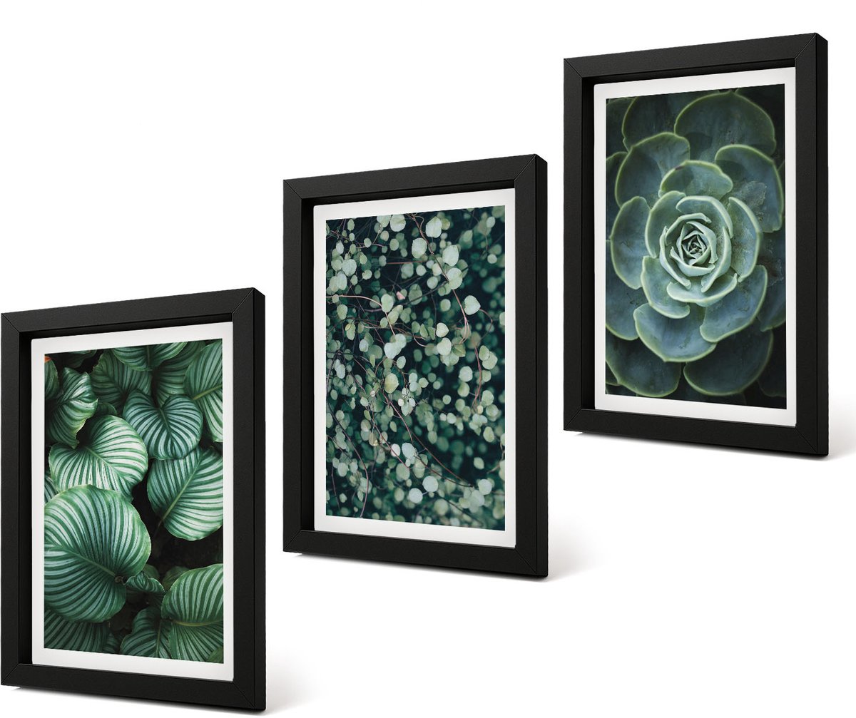 Coloray 4-Delige Schilderij Set - Groene bladplanten en stijlvolle vetplanten - 20 x 30 cm - Decoratieve Schilderijen - Woonkamer - Interieur - Interieur Decoratie